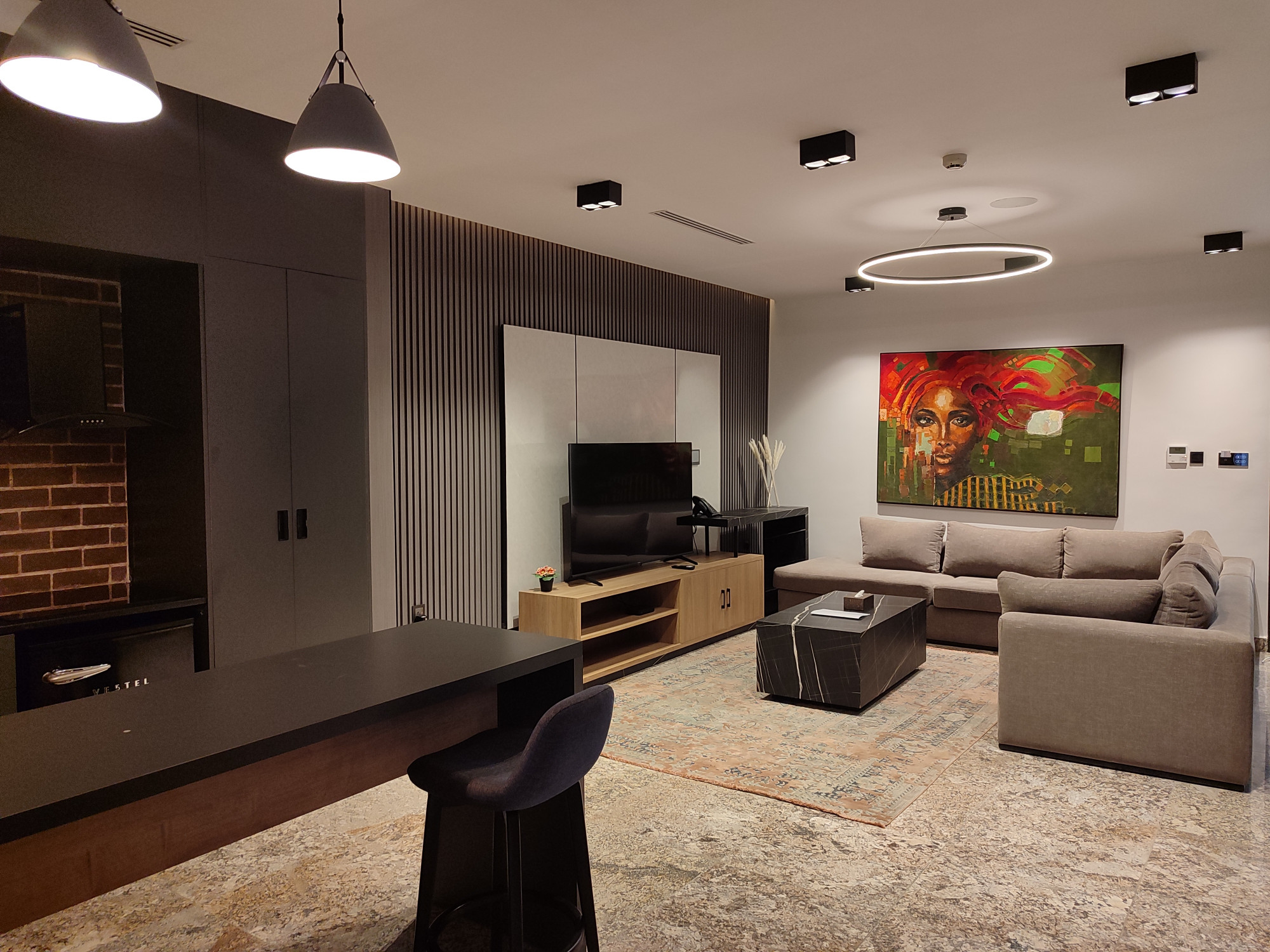 Luxury One Bedroom Apartment